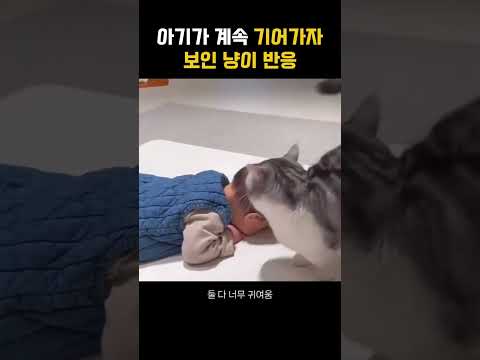 애기가 기어다니자