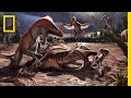 Dinosaur Fossil Excavation and Preservation