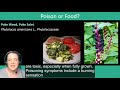 Risks of Toxic Plants and Safety