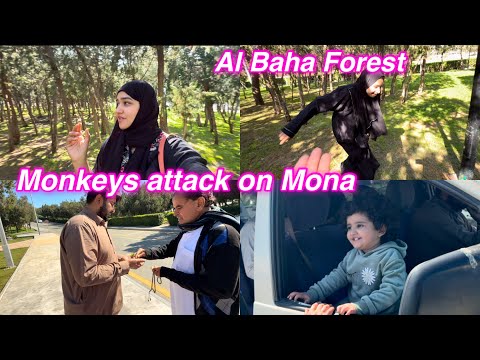 Al Baha Forest | Monkeys attack on Mona | Salma yaseen vlogs