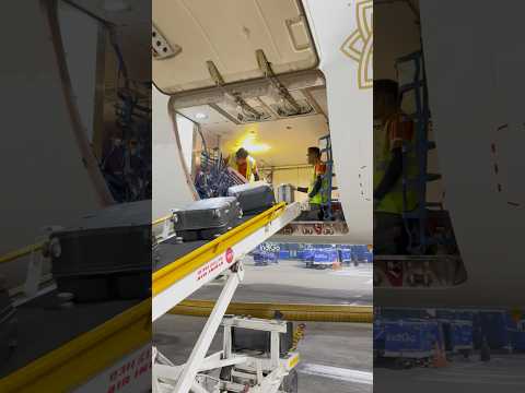 Cargo loading on aircraft #baggage #cargohold #aviation
