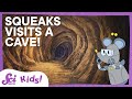 Exploring Caves and Their Inhabitants