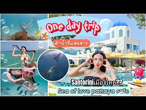 onedaytripที่แสมสารค่าออกเรือ800บาทมีกิจกรรมอะไรทำบ้างไปดู