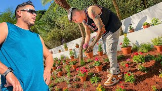 REFORMEI O NOVO JARDIM DA CASA ABANDONADA E FICOU INCRIVEL