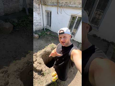 Альбертович - Бомбоубежище / Гантели / новая рубрика / Скандал