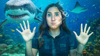 24 horas trabajando en un acuario | Carolina Díaz