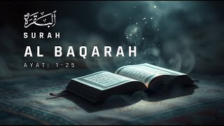 Heart Soothing Recitation of Surah Baqarah | Ramadan 2025 | Relaxing Quran