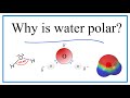 Water Molecule Properties and Bonds