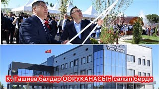 Камчыбек Ташиев: “Апамды кубантканыма сүйүнөм”