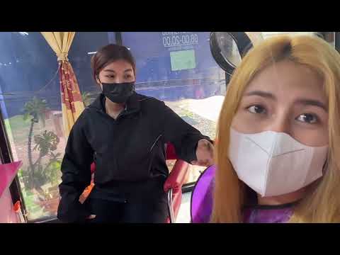 กลับมารับสาวมดกลับบ้าน