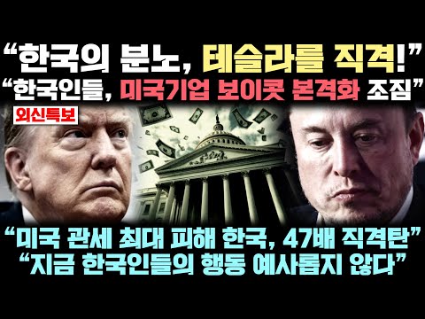 미국에 전해진 한국의 분노, "테슬라 안 산다" 소식에 깜짝 놀란 실제 상황