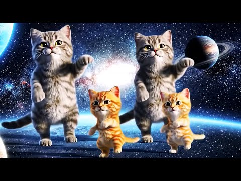 Cat Dance & Cat Videos - (Spinning Cat) #MamaCat #kitten  #cat  #cute  #funny #dance