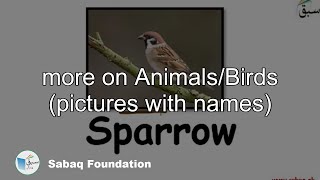 more on Animals/Birds (pictures with names)