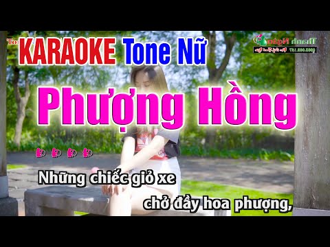 PHƯỢNG HỒNG Karaoke Tone Nữ – Nhạc Sống Thanh Ngân