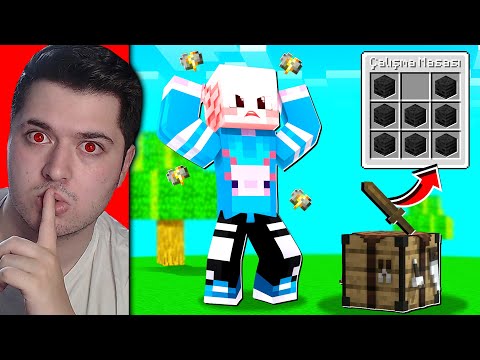 Minecraft'ta SALAK KARDEŞİM SİNİRLENDİKÇE CRAFTLAR DEĞİŞİYOR!