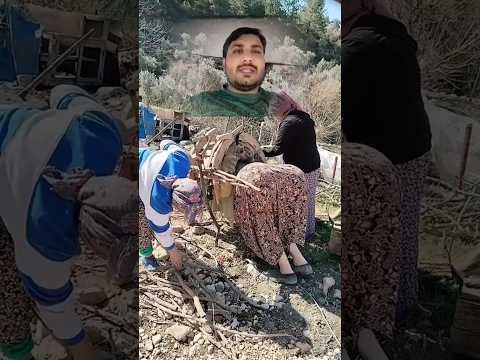 Funny video punjabi #ytshorts #punjabi #foryou #viral #fashion