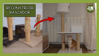CÓMO REPARAR UN RASCADOR DE GATOS COMPLETAMENTE O PARCIALMENTE Y DARLE ASPECTO MÁS MODERNO