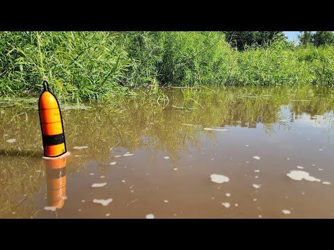 Bobber Fishing A FLOODED RIVER!!! (Big Fish)