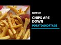 Potato Shortage and Its Impact on Commercial Kitchens