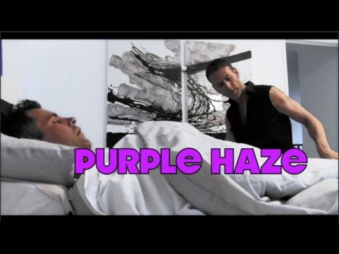 purple haze feedback pdf download