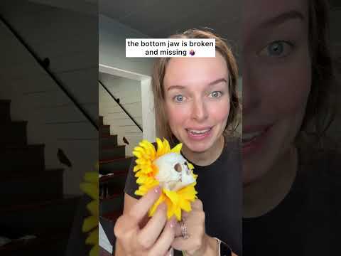 I bought 4 AI-generated products. Here’s what they REALLY look like. 🤨