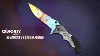 Nomad Knife Case Hardened Gameplay