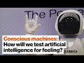 Understanding AI Consciousness and Testing