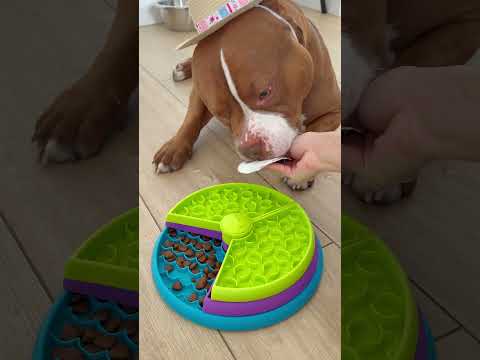Healthy Breakfast for Choco