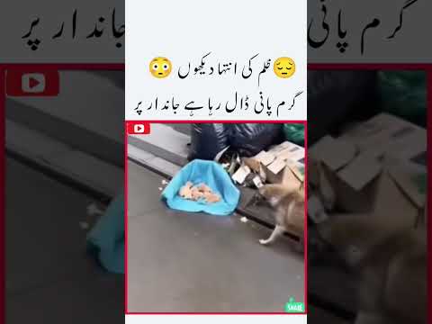 aisadostkiske😜😂kiske passh💯||surajactor#dosti#friendship#yaari#😂friends#viral#funny#video😜