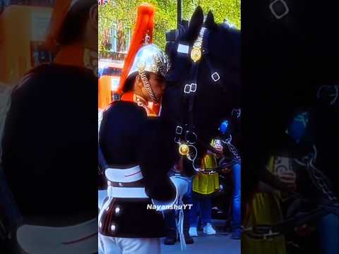 Respect king's guard and horse #shorts #royalguard #kingsguard #Respect