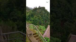 Green laurisilva mountains | Montanhas verdes