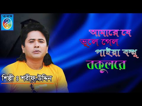 আমারে যে ভুলে গেল পাইয়া বন্ধু বকুলরে । Amare Je Vule Gelo Paiya Bondu Bokolre । শরীফ উদ্দিন