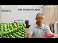 Understanding 'Two Peas in a Pod'