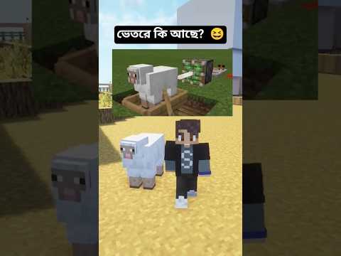 Sheep ওর ভেতর কি থাকে?  🤣 #shorts #minecraft #risgaming