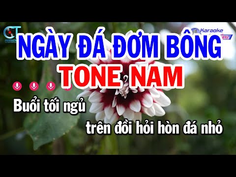 Karaoke Ngày Đá Đơm Bông Tone Nam ( Dm ) Nhạc Sống Mới Nhất | Karaoke Đồng Sen