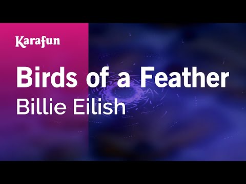 Birds of a Feather - Billie Eilish | Karaoke Version | KaraFun