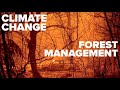 Wildfires on the West Coast: Causes and Solutions