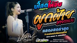 ผูกฝ้ายสายแนน + บ่โสดบ่อนุญาตให้จีบ + บ่กล้าเจอย้านเผลอกอด | ปลาย กนกพร #ชวมิตรมิวสิคออนทัวร์