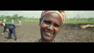 Seeds of Change