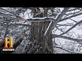 Jake's Lion Tracking Challenges