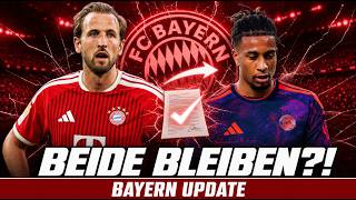 OLISE keine RELEVANZ? SO plant der FC BAYERN den DOPPEL-HAMMER!