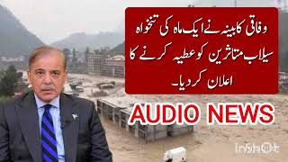 Government federal cabinet announce salary for flood affect people in kpk 