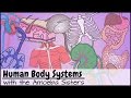 Human Body Systems and Functions