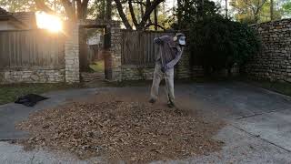 Yard Cleanup ▶1