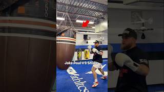 Reaction test VS 15ft Python