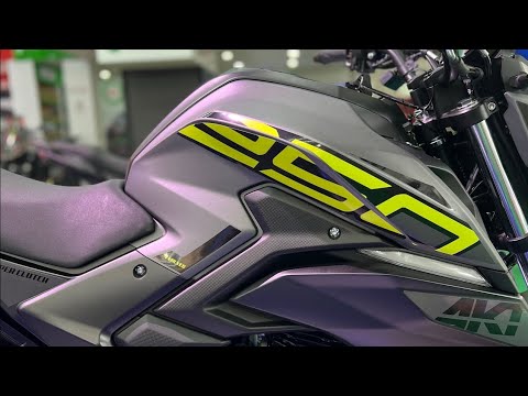 Suzuki 250 2025 🔥Ferreou Fz25 CB300r? | Nuevas Motos 2025