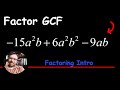 Factoring Expressions and GCF Concepts