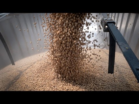 YouTube video thumbnail: Trump Urges China to Massively Step Up Soybean Purchases