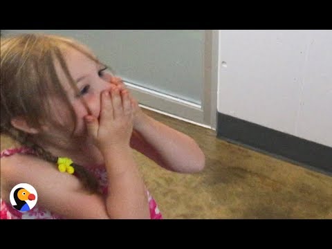 Girl Reunited With Her Lost Cat After 3 Years