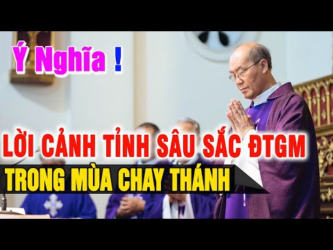 🔴Tin Mới! Ý NghĩaLời giảng của Đức tổng Giuse Ngô Quang Kiệt lúc này l TGP Hà Nội